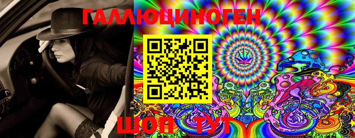 Псилоцибиновые грибы Psilocybe Изобильный